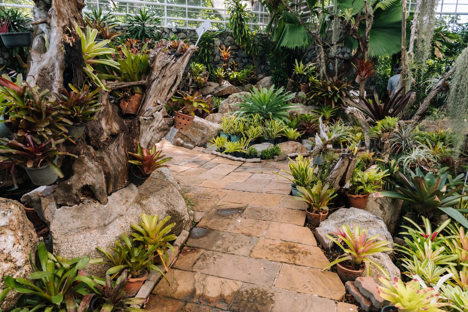 landscape taman